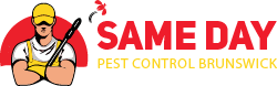 Same Day Pest Control