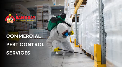 Commercial Pest Control Services