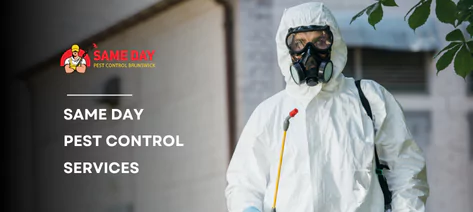 Same Day Pest Control Services